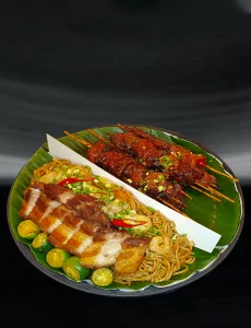 DUO-C-230x300